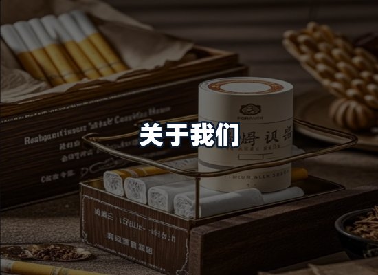 关于我们